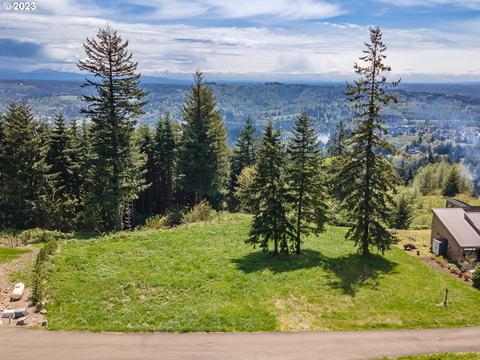 850 Sommerset Rd, Woodland, WA 98674