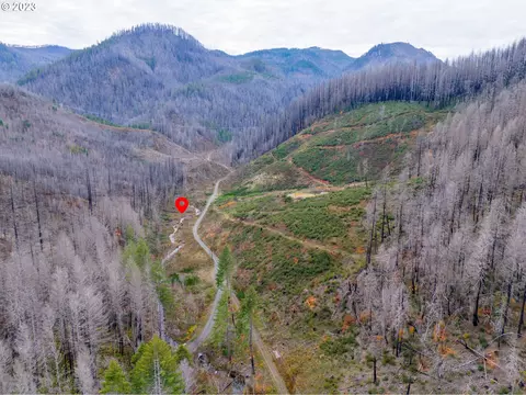 0 Honey Creek Rd, Idleyld Park, OR 97447
