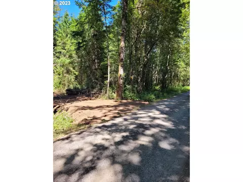 NE 82nd Ave, Battle Ground, WA 98604