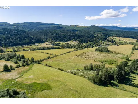 Hill Rd, Springfield, OR 97478 photo 6