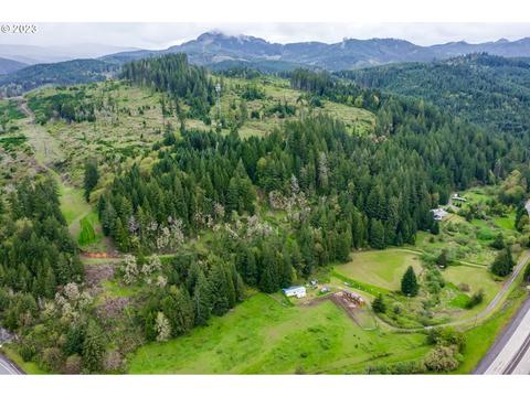 924 Buck Creek Rd, Drain, OR 97435