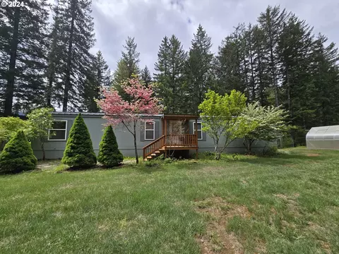 194 Heslen Rd, Carson, WA 98610 photo 1