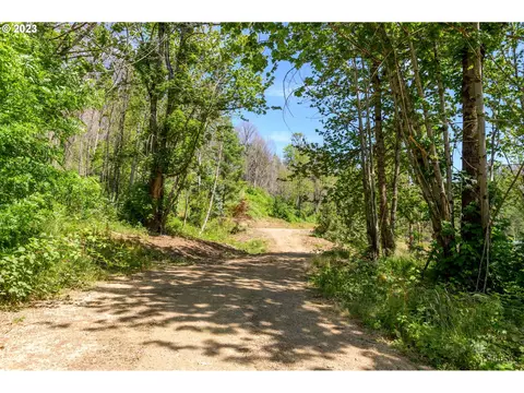 49161 Mckenzie Hwy, Vida, OR 97488