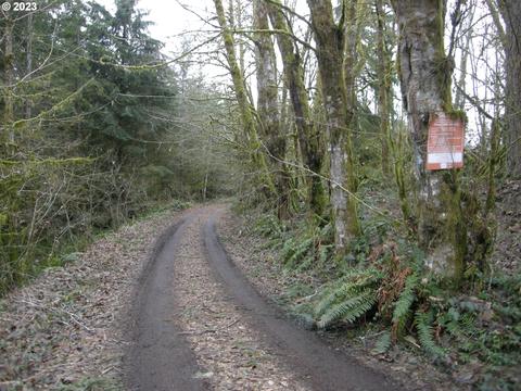 Meissner Rd, Deer Island, OR 97054