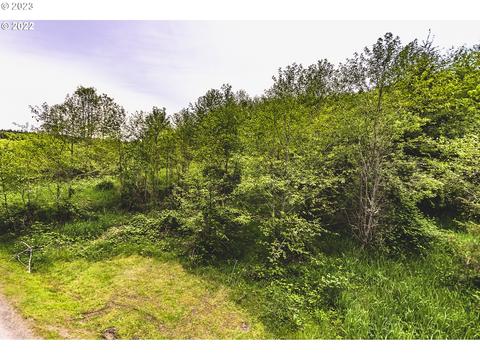 275 Westshore Rd, Castle Rock, WA 98611