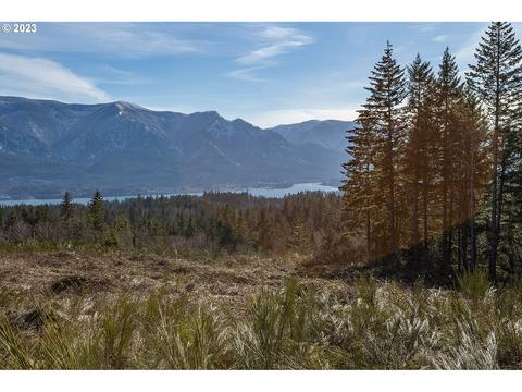 Loop Rd, Stevenson, WA 98648