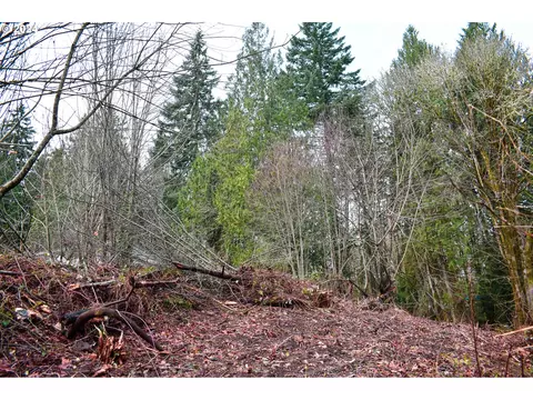 0 Connelle Ct, Westport, OR 97016