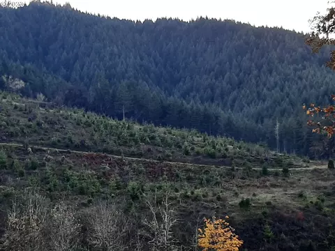 0 Mode Rd, Umpqua, OR 97486