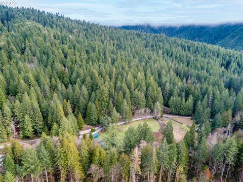 650 Lees Creek Rd, Myrtle Creek, OR 97457