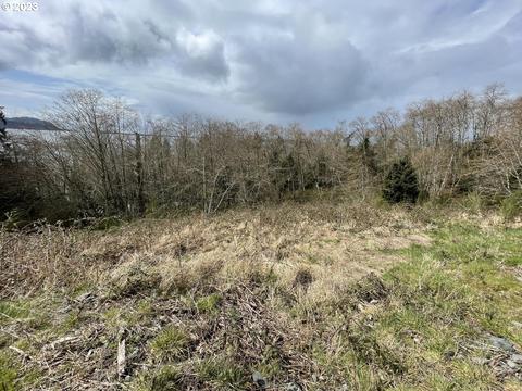 lot20 N Ridge Dr, Bay City, OR 97107