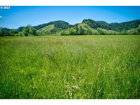 1536 Scotts Valley Rd, Yoncalla, OR 97499