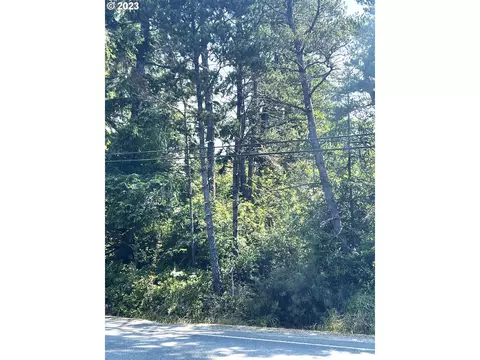 000000 Vernon Ave, Ocean Park, WA 98640