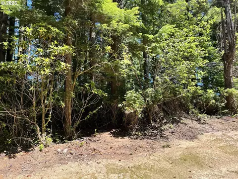 Little Woahink Dr, Florence, OR 97439