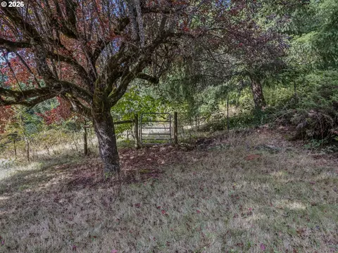 Exterior - 19955 SE Tillstrom Rd, Damascus, OR 97089 photo 7 of 11