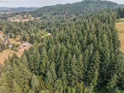 View/Area - 19955 SE Tillstrom Rd, Damascus, OR 97089 photo 4 of 5