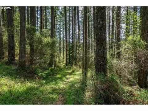 18675 SW Forest Park Rd, Hillsboro, OR 97123