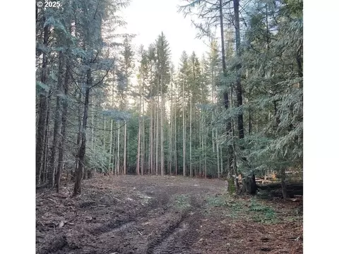 37030 E Gomes Ln, Government Camp, OR 97028