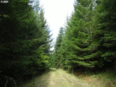 0 Bellinger Scale Rd, Lebanon, OR 97355