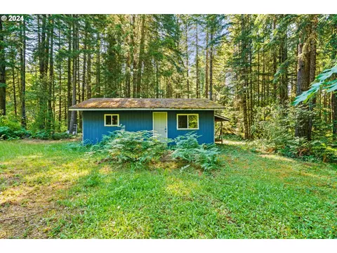 91131 Poodle Creek Rd, Noti, OR 97461
