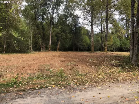 0 NE 183 St, Brush Prairie, WA 98606