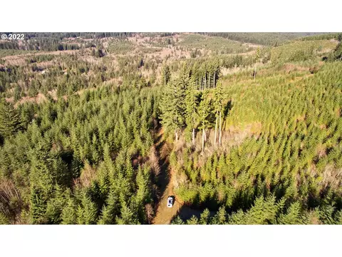 3 NE Jones Creek Rd, Camas, WA 98607
