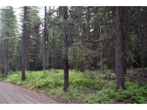 Cold Spring Loop, Weston, OR 97886
