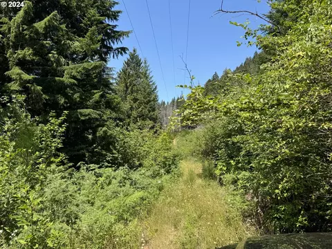 n. santiam hwy se 22, Detroit, OR 97342