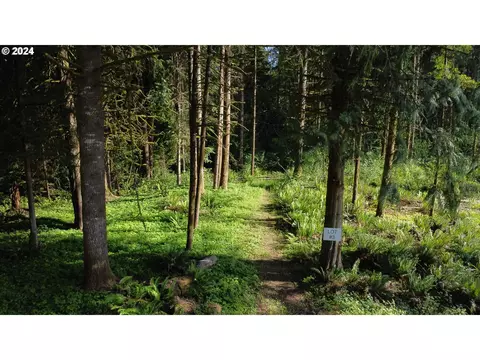 0 Carlon Loop Rd #3, Longview, WA 98632