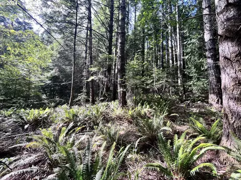 Sixes River Rd, Sixes, OR 97476