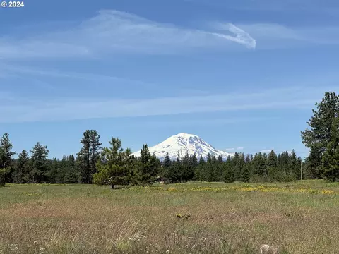 1 Mountain View Ranch Rd, Goldendale, WA 98620
