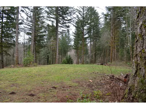 NE 24th St, Washougal, WA 98671