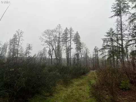Tl 00601, Veneta, OR 97487