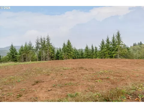 307 Greenwood Rd, Cathlamet, WA 98612
