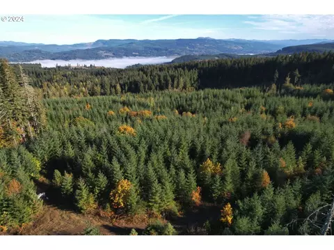 0 Cedar Flt, Springfield, OR 97478