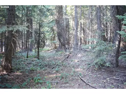58531 Highway 204 #2, Weston, OR 97886