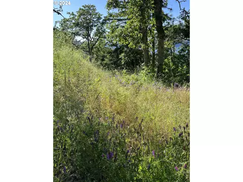 coyote ct, Mosier, OR 97040 photo 8