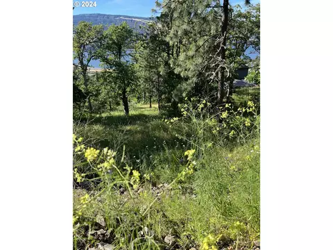 coyote ct, Mosier, OR 97040 photo 9