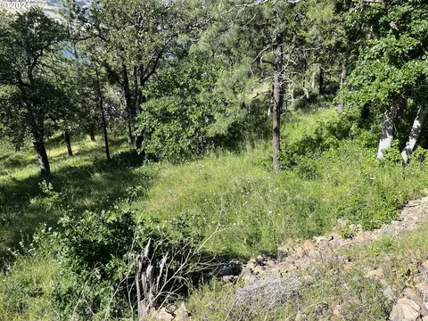 coyote ct, Mosier, OR 97040 photo 7