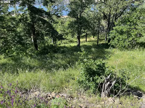 coyote ct, Mosier, OR 97040 photo 5