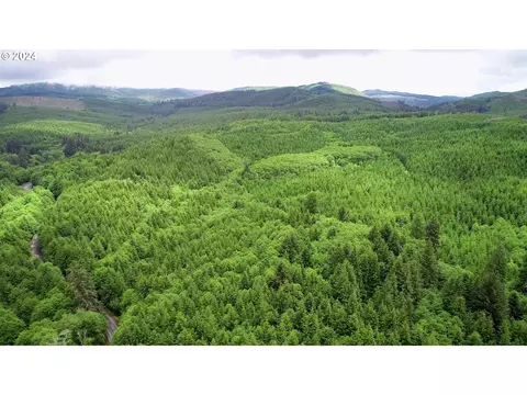 Labiske Rd, Astoria, OR 97103