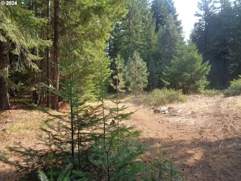 Majeren Ln, Trout Lake, WA 98650