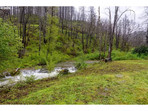 46734 Goodpasture Rd, Vida, OR 97488