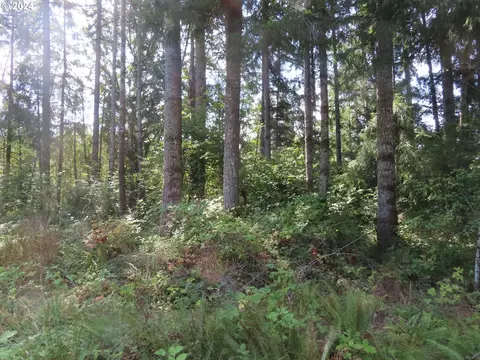 Alpenridge Rd, Kelso, WA 98626