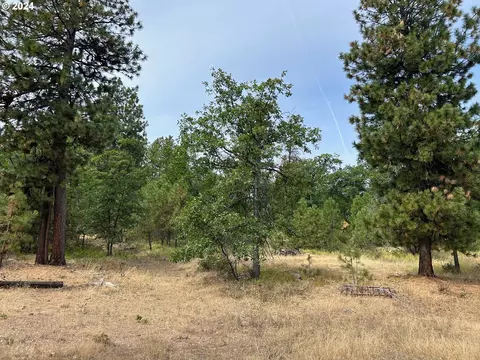 Timber Dr, Bickleton, WA 99322