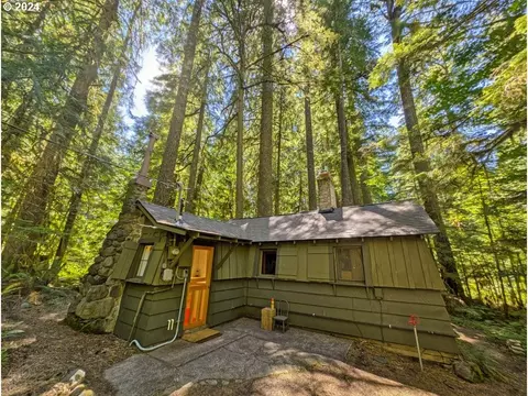 78830 E Road 35a #28, Government Camp, OR 97028