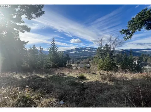 1475 Catalina Ln, White Salmon, WA 98672
