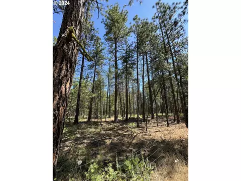 Undisclosed, Goldendale, WA 98620