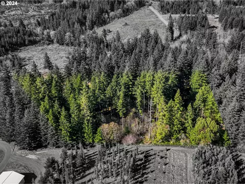 19860 Sharon Tony Way SE, Silverton, OR 97381