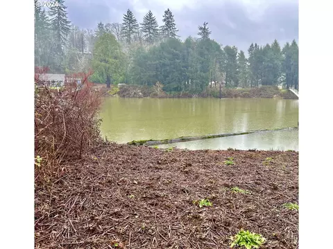 1000 Riverview Ave, Mapleton, OR 97453