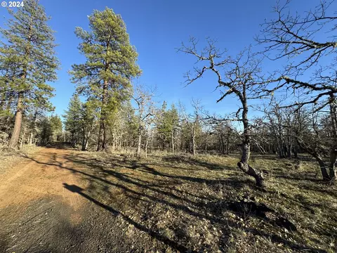 piney woods, Goldendale, WA 98620